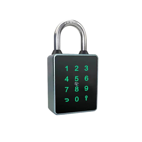 Outdoor intelligent safety padlock