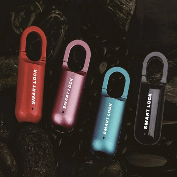 Smart Lock Fingerprint Padlock For Travel Bags